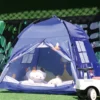 Blue playhouse tent picture