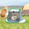 Newxon Green Pet Carrier Bag picture