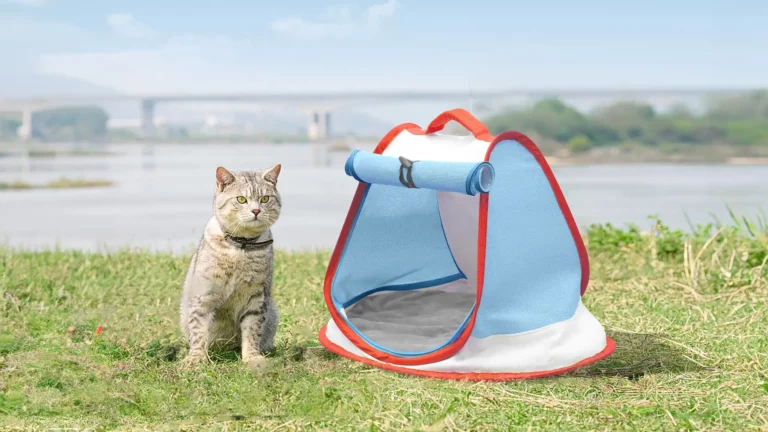 Newxon pet carrier bag